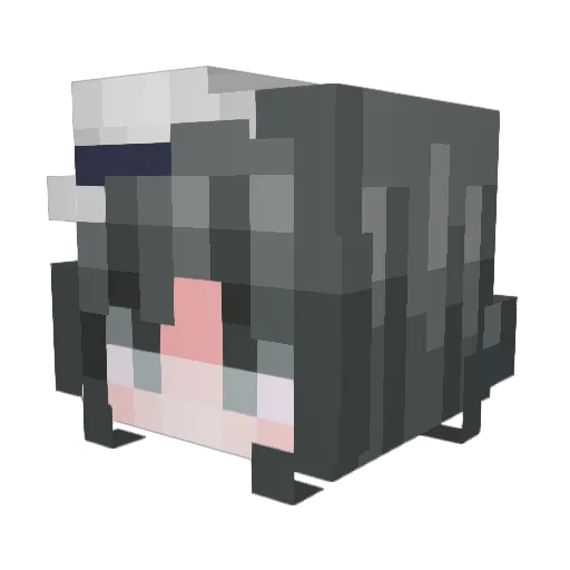 4Skittles Minecraft avatar head, 3D render