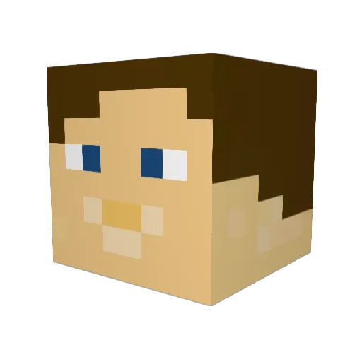 4Tom Minecraft avatar head, 3D render