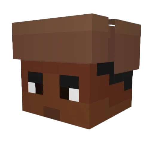 4YoEyesOnly Minecraft avatar head, 3D render