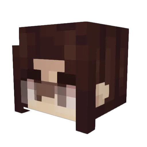 4_b5s Minecraft avatar head, 3D render