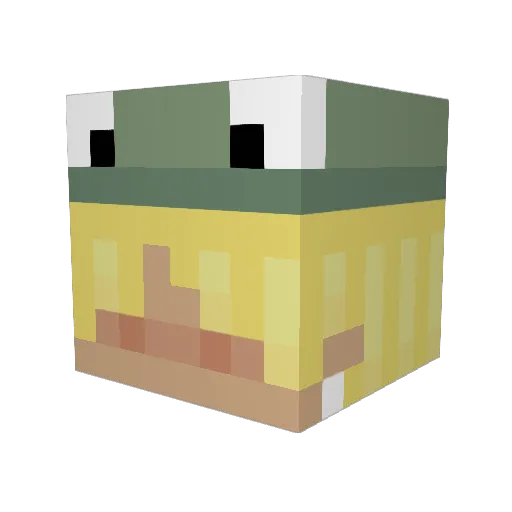 4_er Minecraft avatar head, 3D render