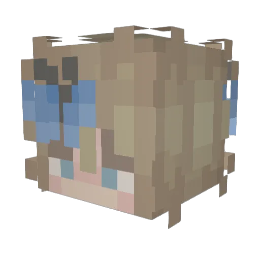 4_ever_Butterfly Minecraft avatar head, 3D render
