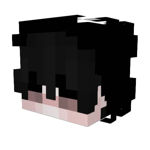 4afi Minecraft avatar head, 3D render