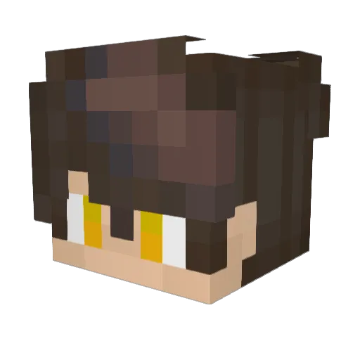 4amFox Minecraft avatar head, 3D render