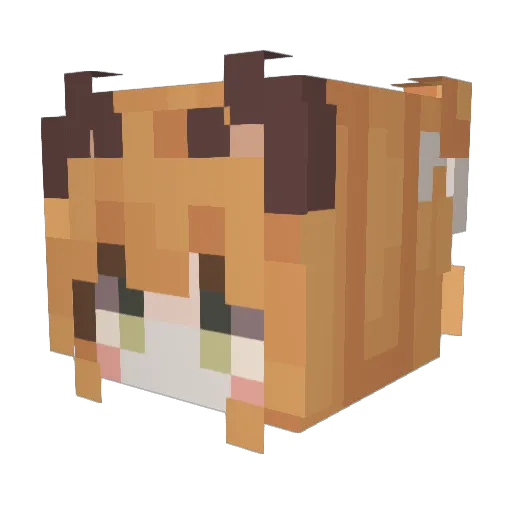 4bug Minecraft avatar head, 3D render