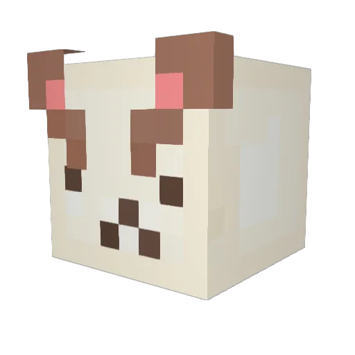 4cJoe Minecraft avatar head, 3D render