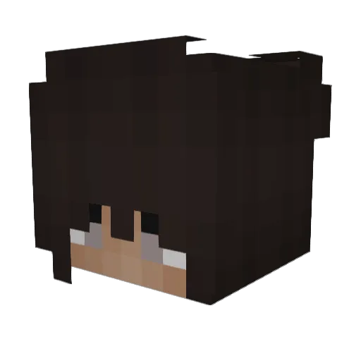 4channe3t Minecraft avatar head, 3D render