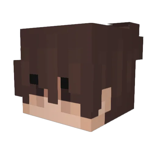 4chillS7 Minecraft avatar head, 3D render