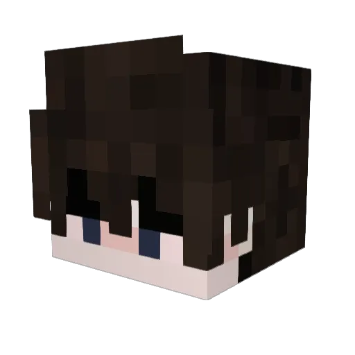 4cizgiadidas Minecraft avatar head, 3D render
