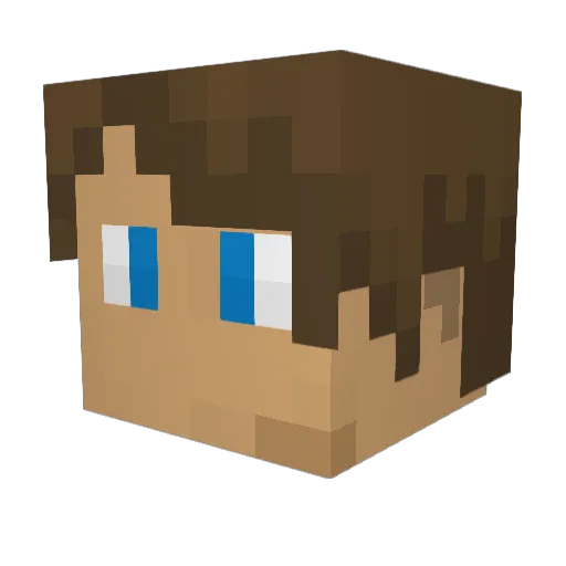 4cookis Minecraft avatar head, 3D render