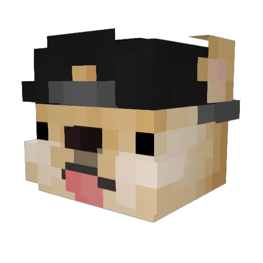 4dou_lover Minecraft avatar head, 3D render