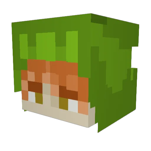4e69636b Minecraft avatar head, 3D render