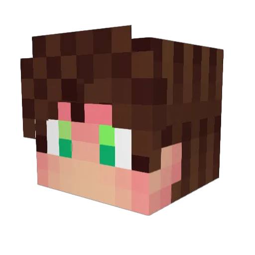 4eCTeP Minecraft avatar head, 3D render
