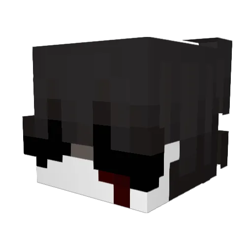 4eburek2907 Minecraft avatar head, 3D render
