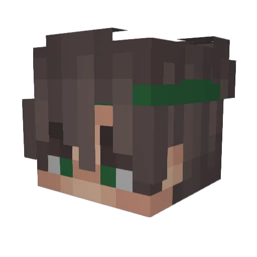 4ertert Minecraft avatar head, 3D render