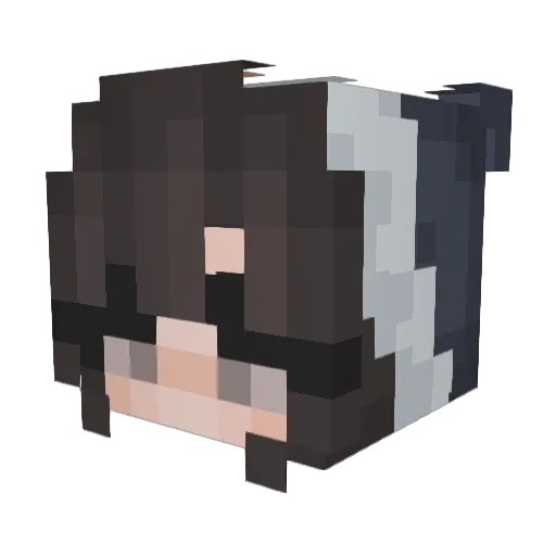 4everwise Minecraft avatar head, 3D render