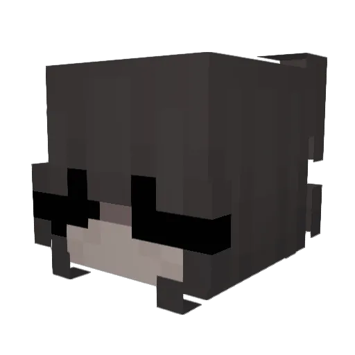 4everyourmommy Minecraft avatar head, 3D render