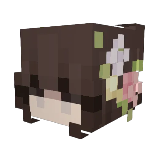 4kSnoww Minecraft avatar head, 3D render