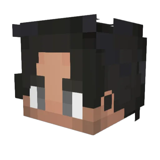 4lb3rt0_0 Minecraft avatar head, 3D render