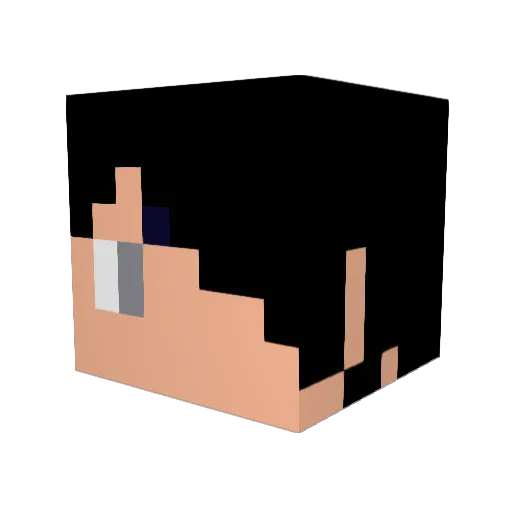 4lcys Minecraft avatar head, 3D render