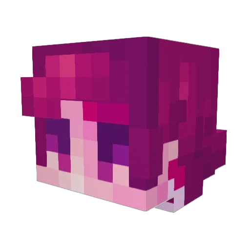 4leafclovers Minecraft avatar head, 3D render