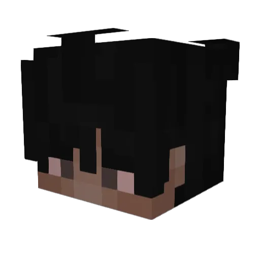 4len_20cm Minecraft avatar head, 3D render