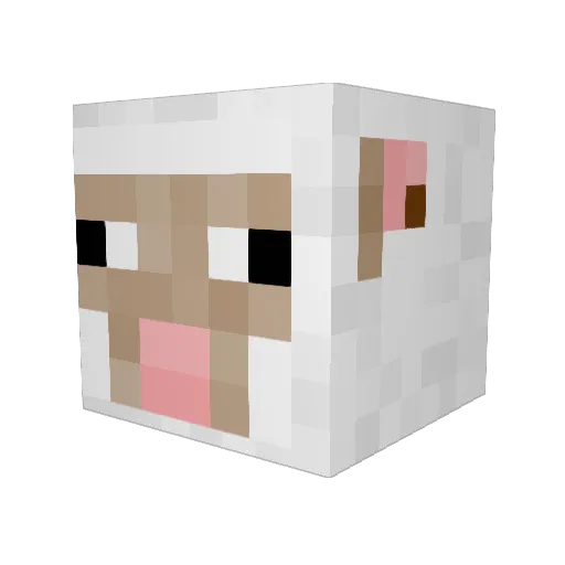 4ll150n Minecraft avatar head, 3D render