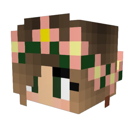 4lynaa Minecraft avatar head, 3D render
