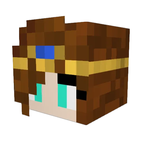 4myMe1n Minecraft avatar head, 3D render