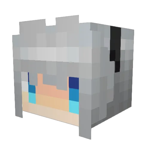 4n0n86 Minecraft avatar head, 3D render