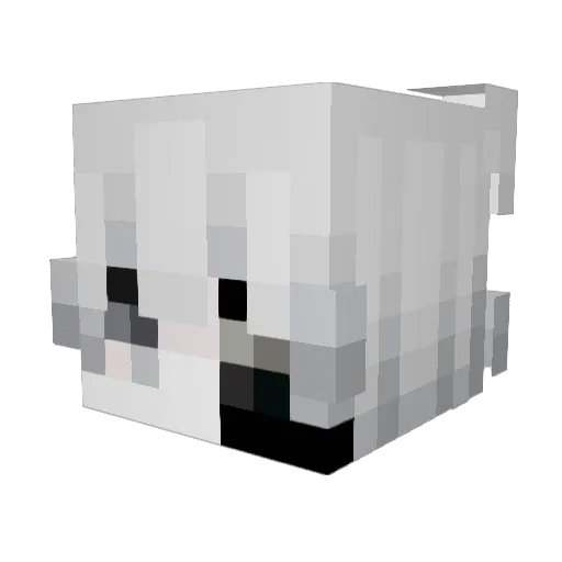 4nac Minecraft avatar head, 3D render