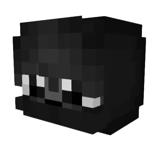 4ndreei_ Minecraft avatar head, 3D render