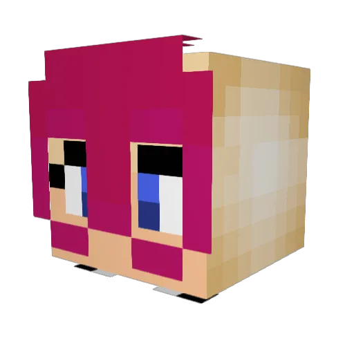 4nonym1ty Minecraft avatar head, 3D render
