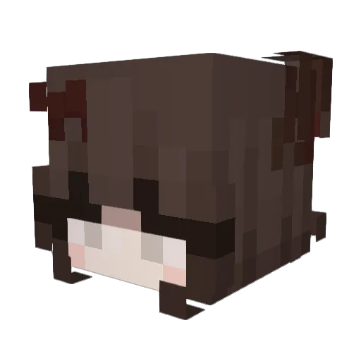 4nteo Minecraft avatar head, 3D render