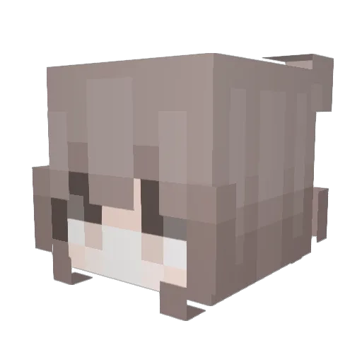 4om Minecraft avatar head, 3D render