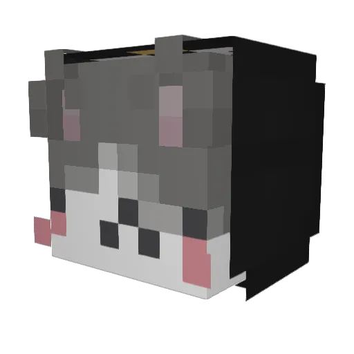 4qg Minecraft avatar head, 3D render