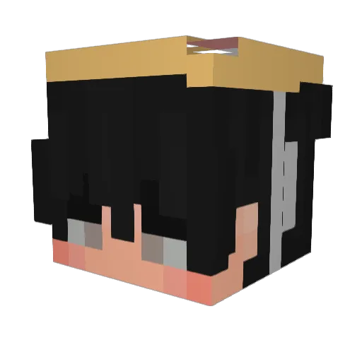 4qxn Minecraft avatar head, 3D render