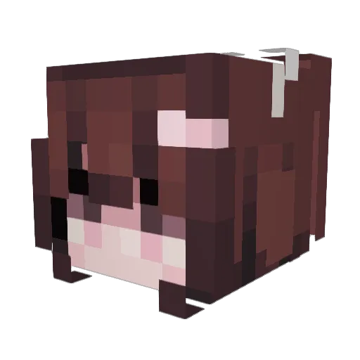 4rmageddn Minecraft avatar head, 3D render