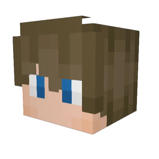 4rn0d Minecraft avatar head, 3D render