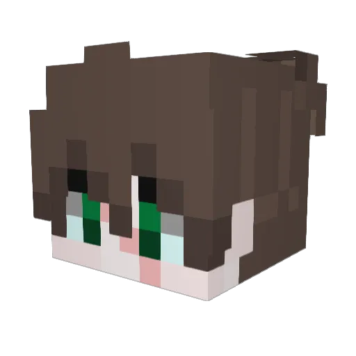 4rnau_ Minecraft avatar head, 3D render