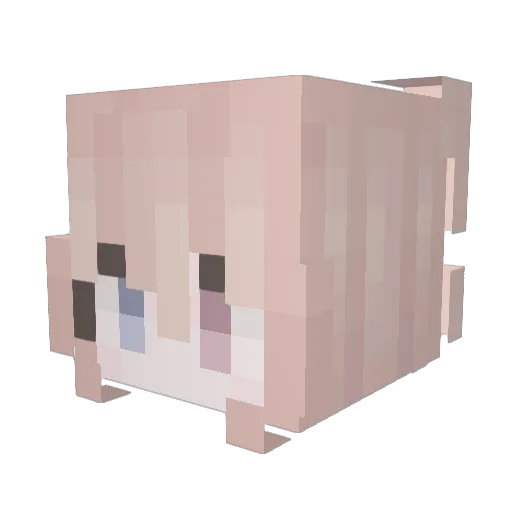 4saken Minecraft avatar head, 3D render