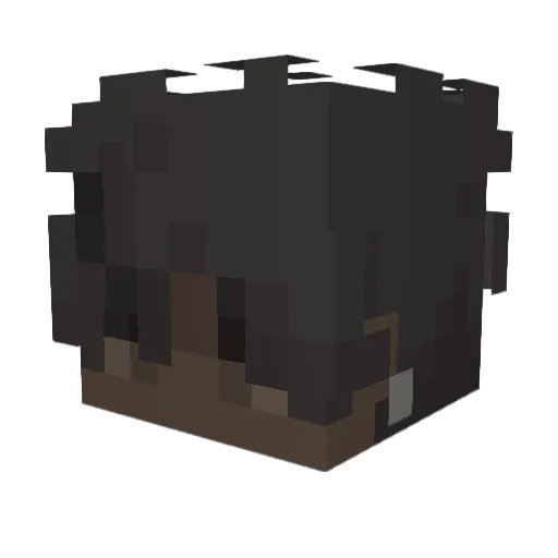 4shewirr Minecraft avatar head, 3D render