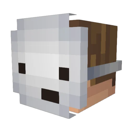4shton Minecraft avatar head, 3D render