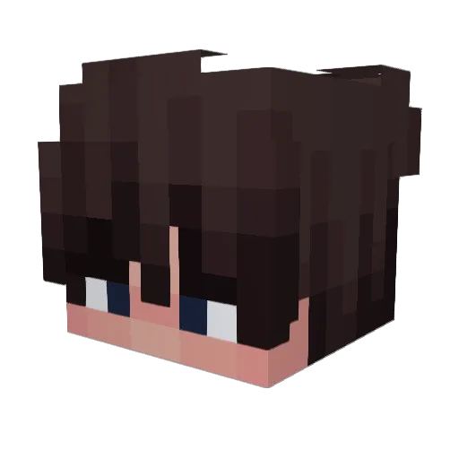 4slate Minecraft avatar head, 3D render