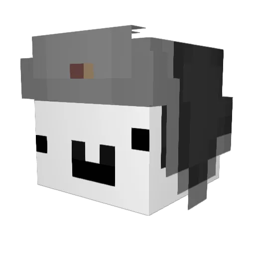 4snef4g3n Minecraft avatar head, 3D render