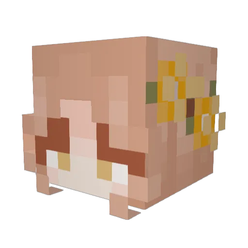 4sphodel_ Minecraft avatar head, 3D render