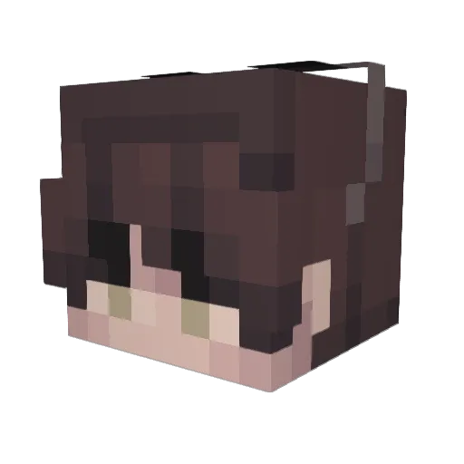 4ssa Minecraft avatar head, 3D render