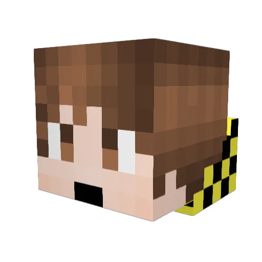 4tfarcenim Minecraft avatar head, 3D render