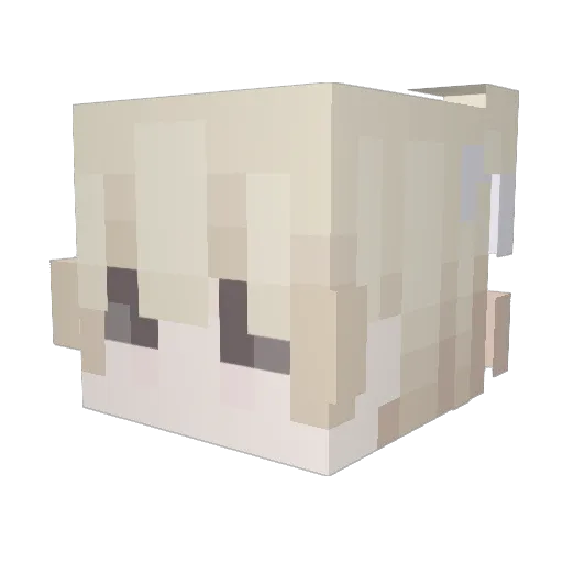 4ued Minecraft avatar head, 3D render