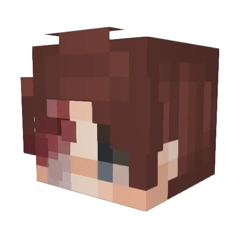 4w3 Minecraft avatar head, 3D render